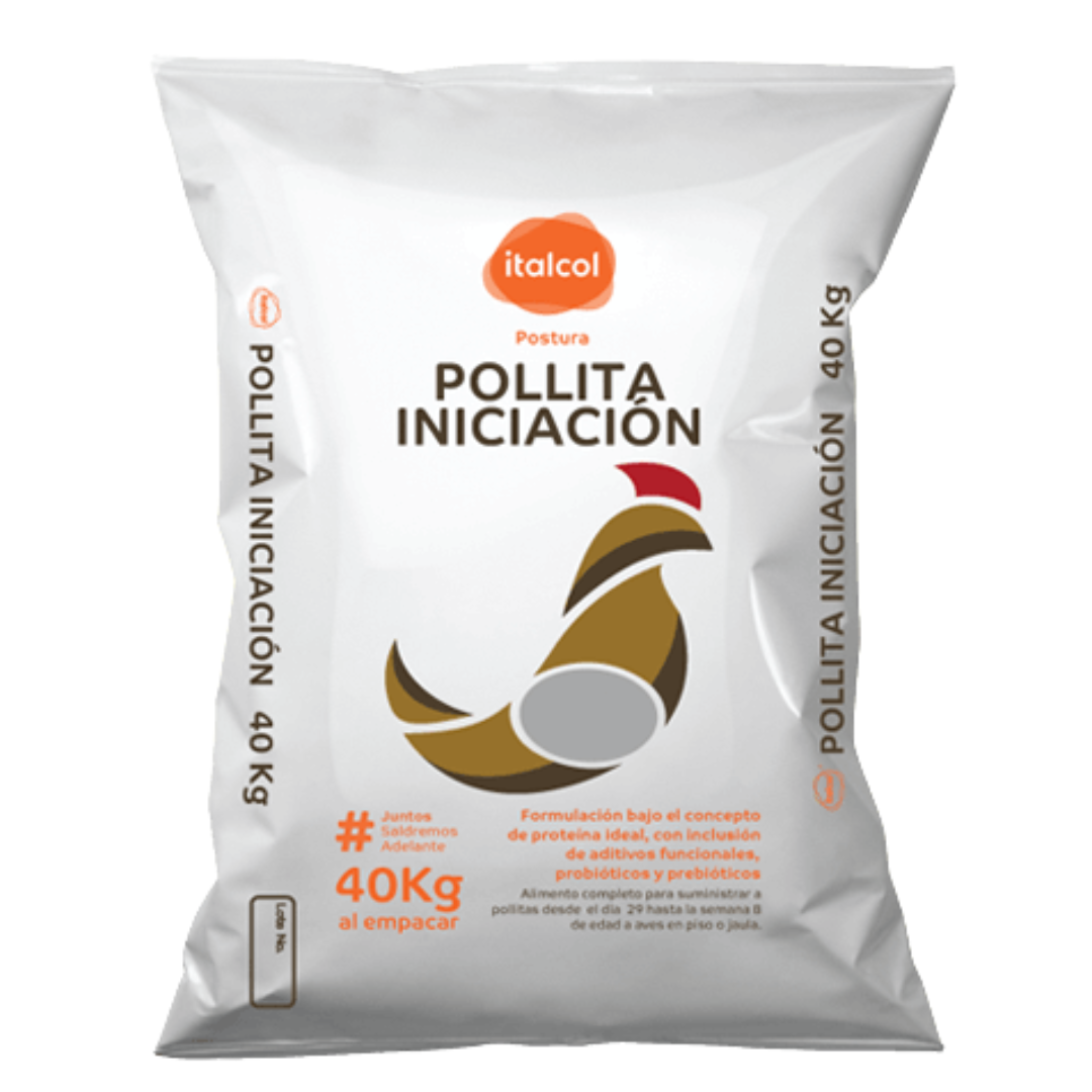 Pollita iniciación x 40KG