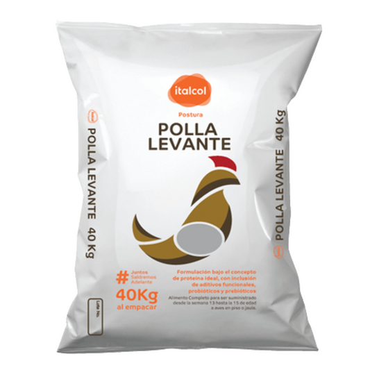 Polla Levante x 40KG