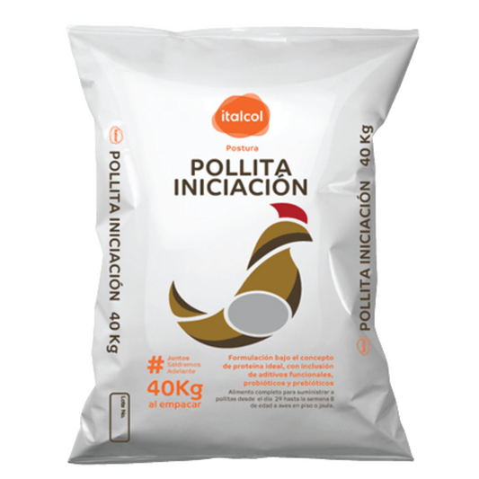 Pollita iniciación x 40KG